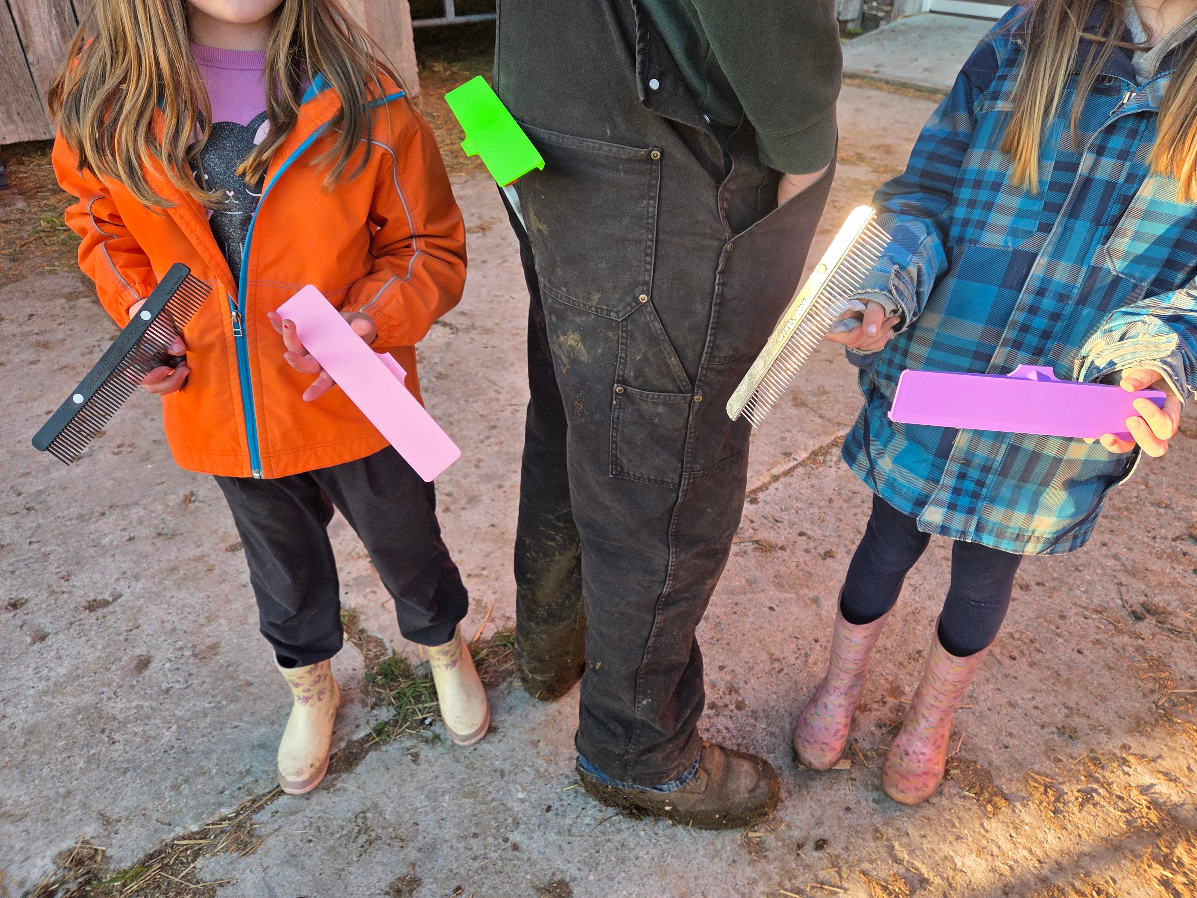 Comb Cap protecting cattle show comb